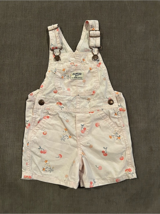 OshKosh B'gosh Other - OshKosh B'gosh Pink Cherry Floral Shortall Overalls Toddler Girl 2T